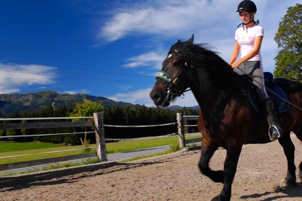 Riders' Paradise Zechmannhof  - Impression #1 | © Zechmannhof