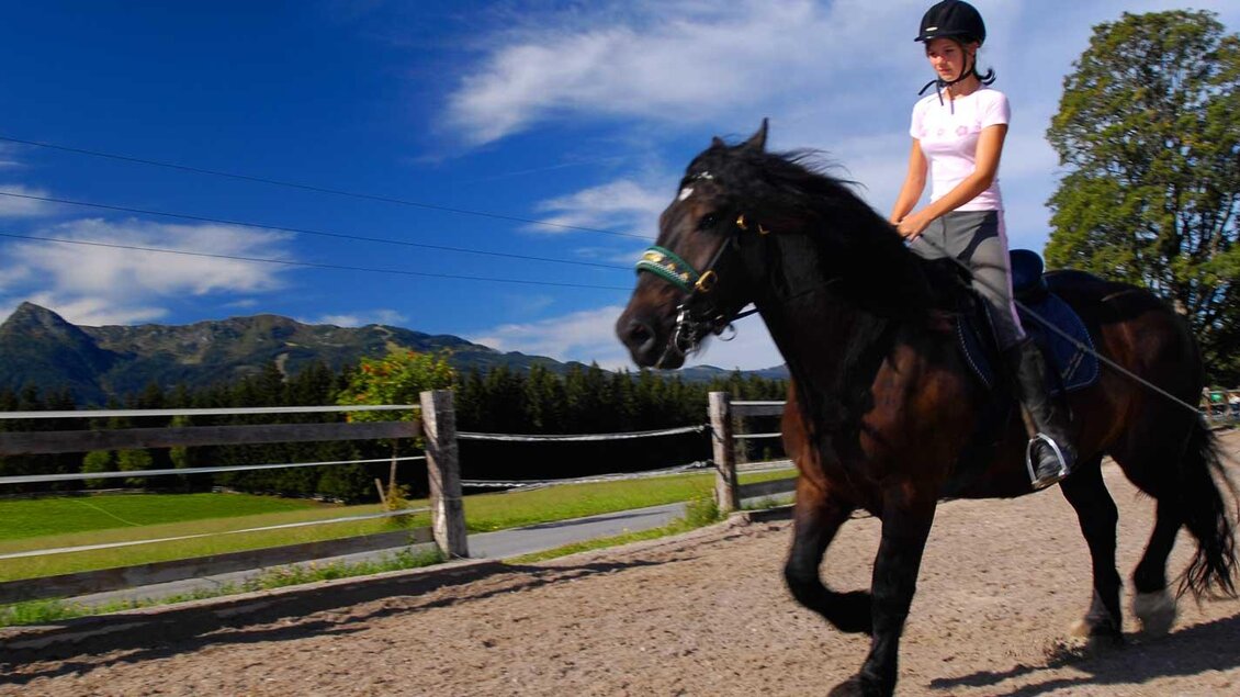 Eine Person reitet auf einem schwarzen Pferd in einer natürlichen Umgebung. Im Hintergrund sind Berge und ein blauer Himmel zu sehen. | © Zechmannhof