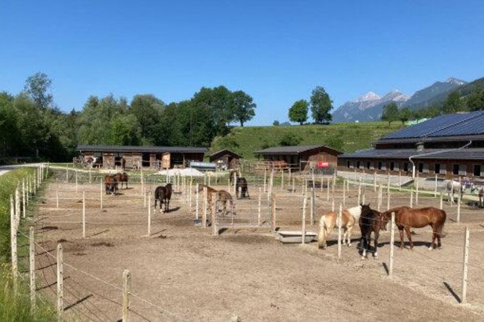 Horse riding Dunner - Impression #1 | © Reitsportzentrum Dunner