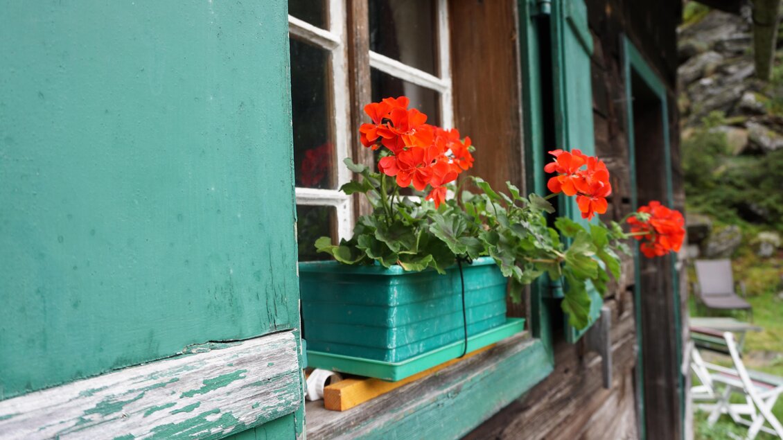 Ein traditionelles Holzhaus mit grünen Fensterläden. Auf dem Fensterbrett blühen leuchtend rote Blumen. | © Naturpark Sölktäler