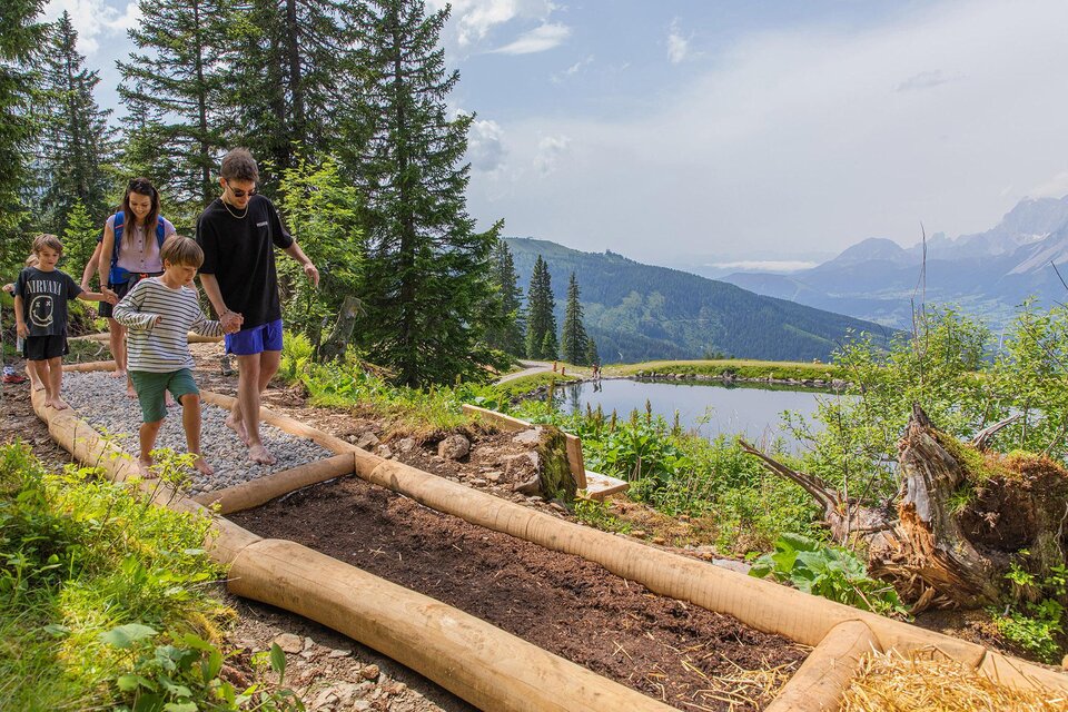 Sheep-barefoot-path - Impression #1 | © Hauser Kaibling