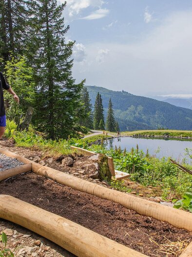 A group of people is walking on a nature trail through a forest. In the background, mountains and a calm lake can be seen. | © Hauser Kaibling