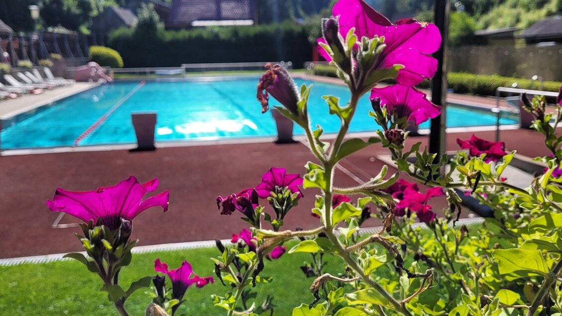 Ein schöner Pool umgeben von bunten Blumen und Liegen. Die Umgebung ist grün und einladend. | © Tim Fuchsberger