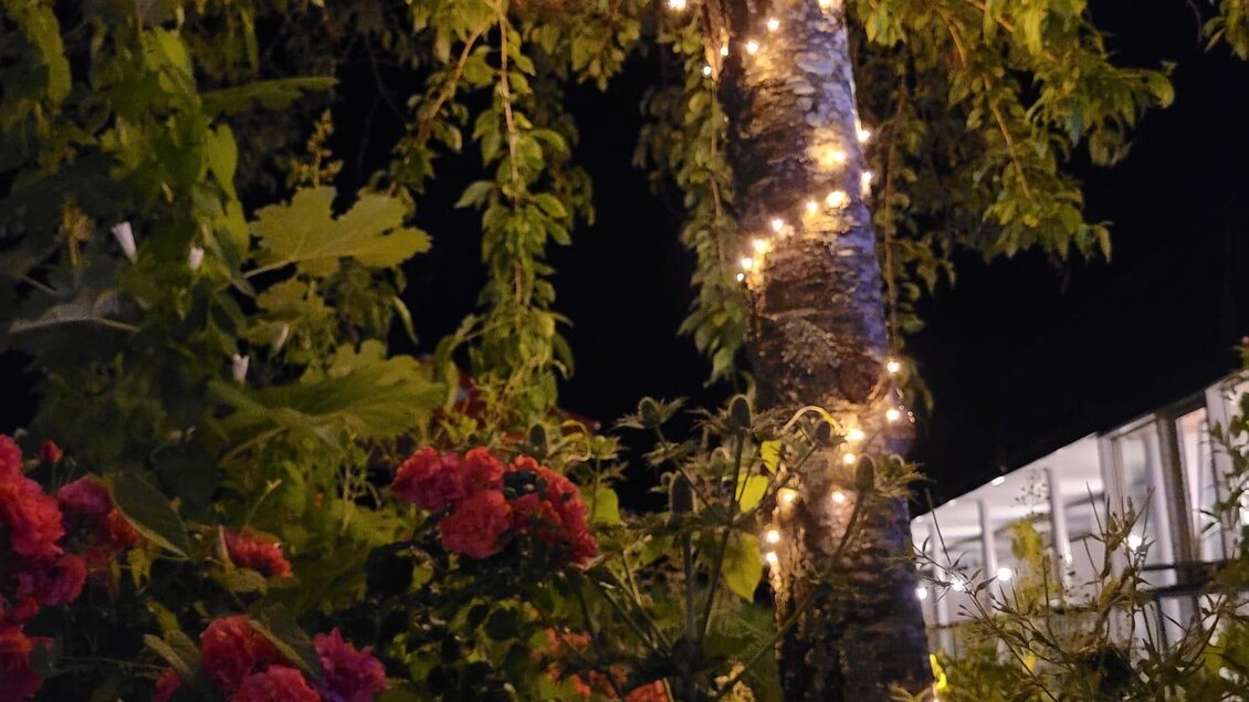 Ein schöner Garten bei Nacht, beleuchtet von Lichtern, die an einem Baum hängen. Bunte Blumen umgeben den Baum und schaffen eine gemütliche Atmosphäre. | © Tim Fuchsberger