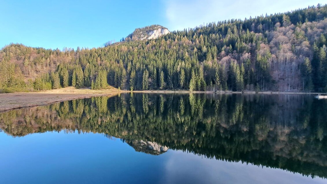 Ein ruhiger See, umgeben von dichten grünen Wäldern und sanften Bergen. Das Wasser spiegelt die Landschaft klar wider. | © Spechtenseehütte