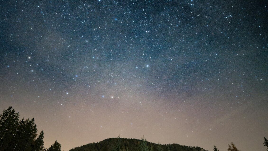 Ein klarer Nachthimmel mit vielen Sternen und der Milchstraße ist sichtbar. Im Vordergrund sind Bäume und eine Wiese zu erkennen. | © Gerald Grünwald