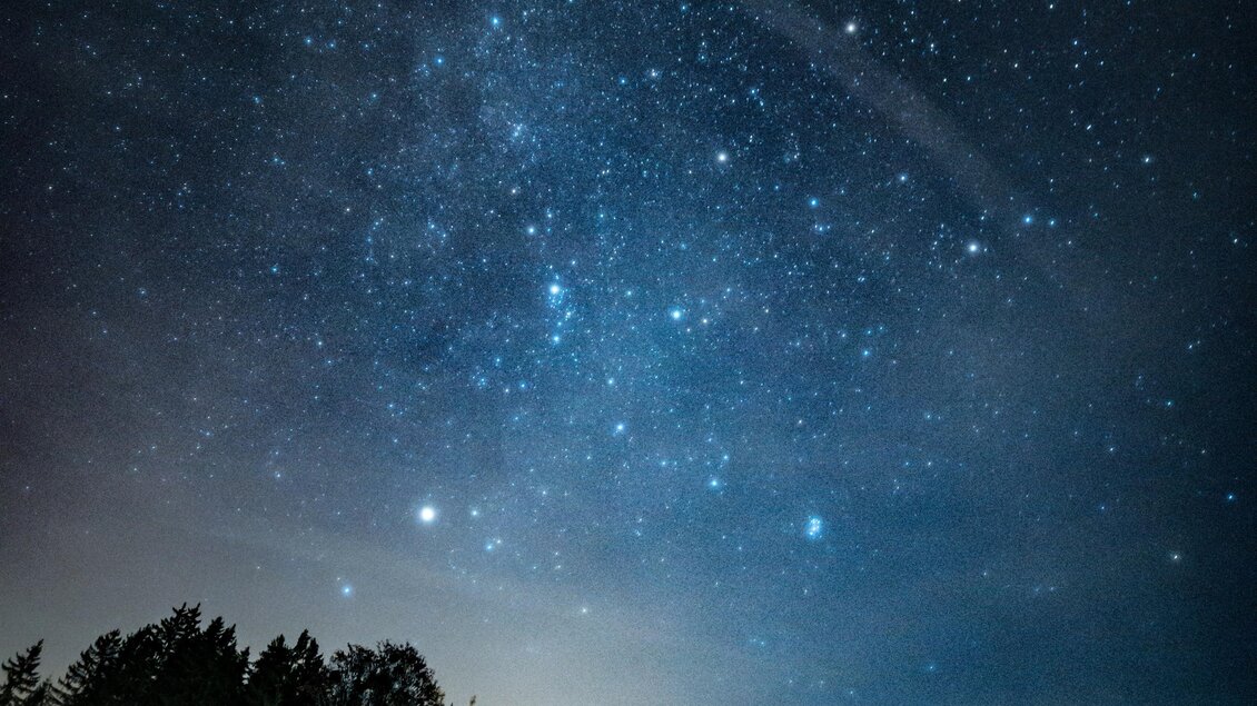 Ein klarer Nachthimmel mit vielen leuchtenden Sternen. Im Vordergrund ist eine Wiese und eine Baumreihe sichtbar. | © Gerald Grünwald