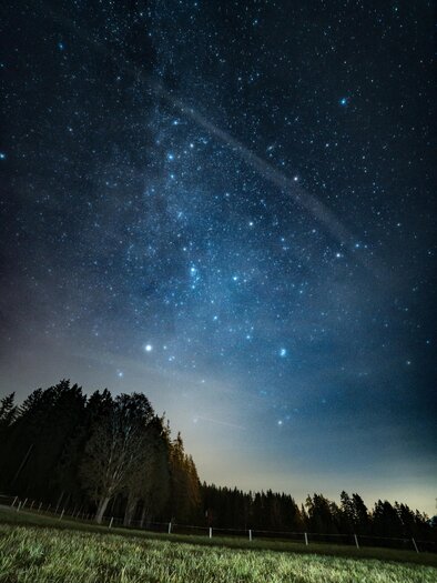 Ein klarer Nachthimmel mit vielen leuchtenden Sternen. Im Vordergrund ist eine Wiese und eine Baumreihe sichtbar. | © Gerald Grünwald