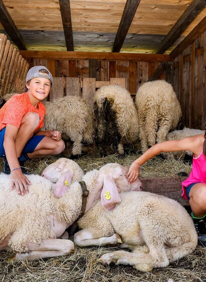 Streichelzoo Haus Kaibling | Stefan Pajman / Instagram bg_lazarus | © Haus Kaibling