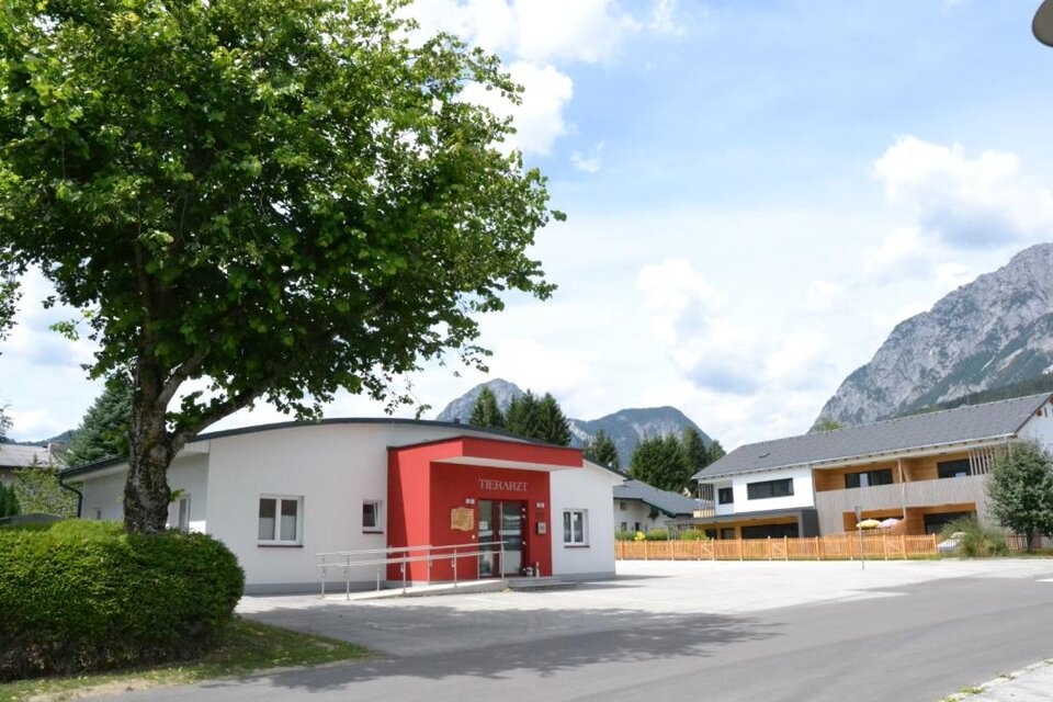 Dr. Gruber - veterinary - Impression #1 | © Dr. Robert Gruber