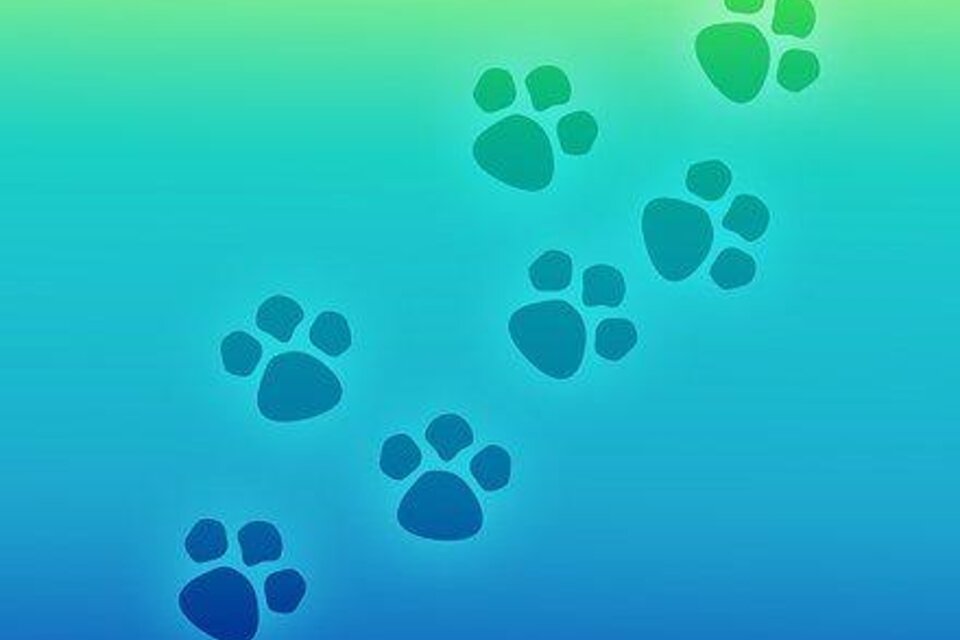 Dr.Siegfried Kiendler - Impression #1 | © Symbolfoto