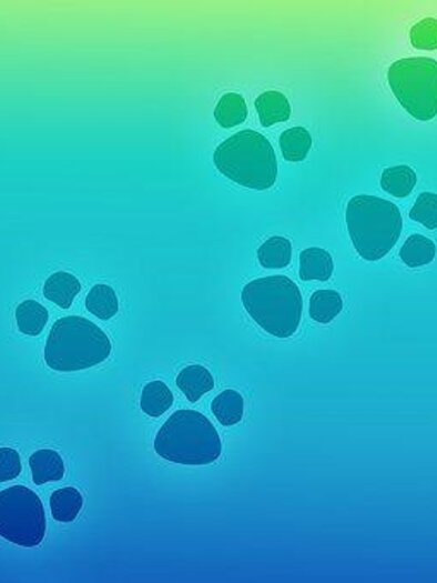 Paw prints on a color gradient of blue and green. The tracks run diagonally across the background. | © Symbolfoto