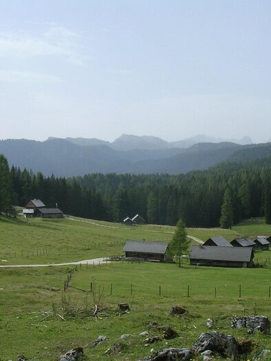 A picturesque landscape with green meadows and scattered huts. In the background, high mountains and a forested slope can be seen. | © Wirthütte