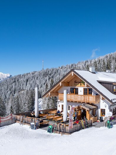 Cozy ski lodge with a large sun terrace and ski racks, situated directly on the slope, with a wide view of the valley and the mountain world. | © d´Genussalm