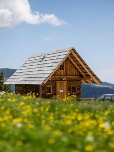 Almhütte_Panoramablick_Außenansicht_Sommer | © Salzstiegl Tourismus -Tom Lamm | © Salzstiegl Tourismus -Tom Lamm