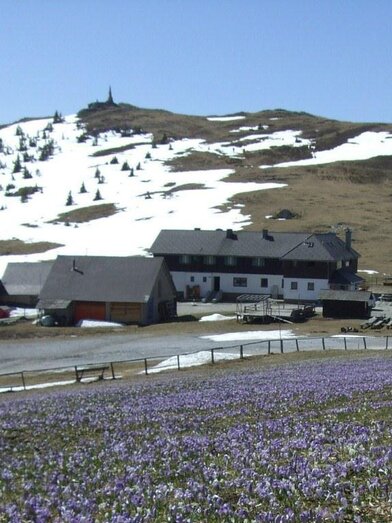 Altes Almhaus Außenansicht | © Keine Kenntnis | © Keine Kenntnis