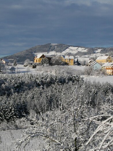 Ballonhotel Thaller_Im Winterkleid_Oststeiermark | © Ballonhotel Thaller | © Ballonhotel Thaller
