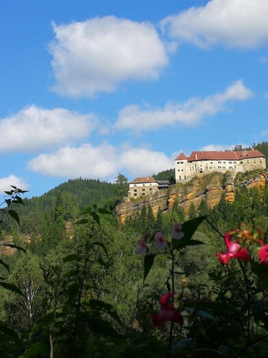 IMG_20190903_115706 | © Fam. Steiner | © Fam. Steiner