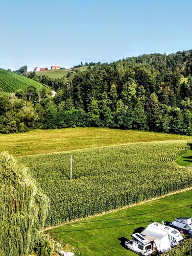 dji_fly_20240806_171944_475_1722957942564_photo_op