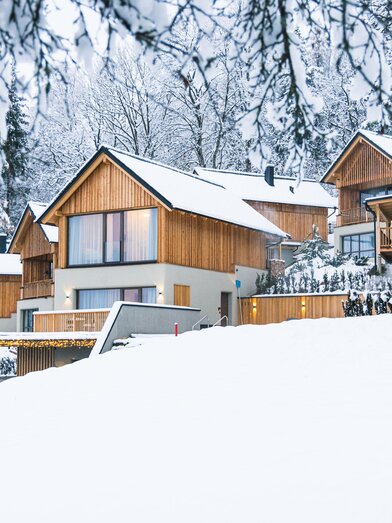 Montestyria Mariazell 23112022-9796 | © info@lifepictures.at
www.lifepictures.at | fred lindmoser