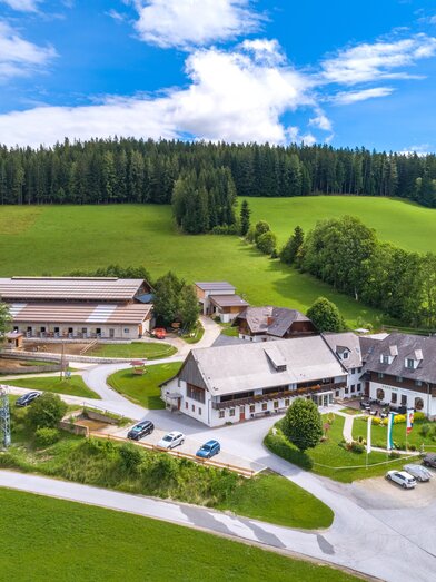 Air Ponyhof Ratten_091-HDR Kopie heller 2 | Der Ponyhof