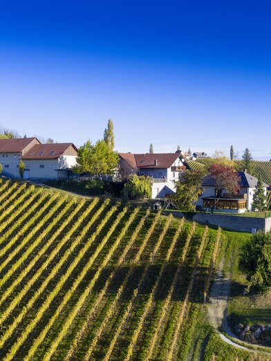 Familienweingut Oberer Germuth Hausriede | © PIXELMAKER.AT | Robert Sommerauer | © © PIXELMAKER.AT