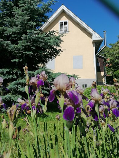 IMG_20240524_091528 | Eva Wagenhofer