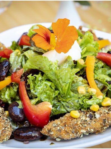 gh schusterbauer(c) TV OberGraz_J (3)