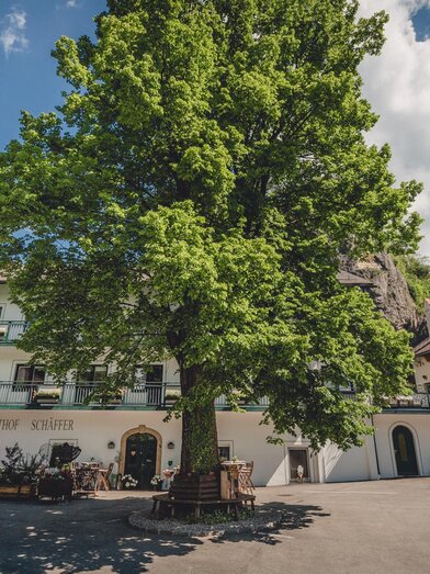 Hausansicht | © Foto: Seiser, Karner | GH Schäffer | © Foto: Seiser, Karner