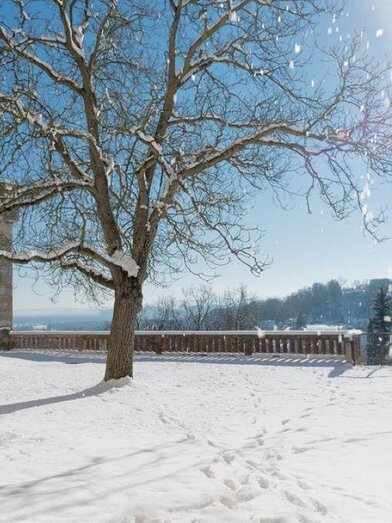 Hotel Schloss Seggau - Glockenwiese Winter | © Kristoferitsch | Kristoferitsch | © Kristoferitsch
