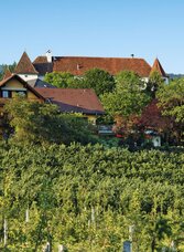Mitten im Apfelgarten | © Bernhard Bergmann | Landhaus Grete | © Bernhard Bergmann
