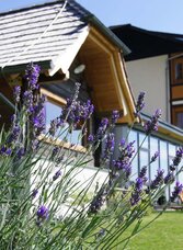 Landhotel Spreitzhofer | © Spreitzhofer | Landhotel Spreitzhofer | © Spreitzhofer