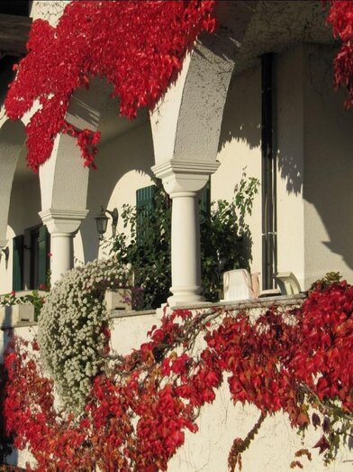 Maitz Urbanikeller Außenansicht | © Maitz Urbanikeller | Mathias Maitz |  Mathias Maitz | © Maitz Urbanikeller | Mathias Maitz