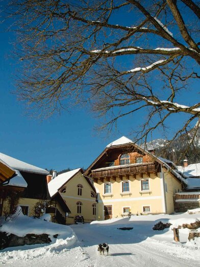 Winter am Michlbauernhof | Seiser Nici