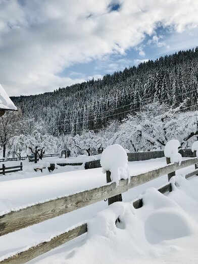 Winter | © Glanzer Karin | Glanzer Karin | © Glanzer Karin