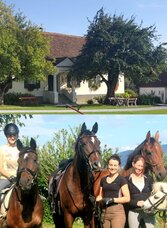 Hoadnbauer_Pferd_02 | Bernadette