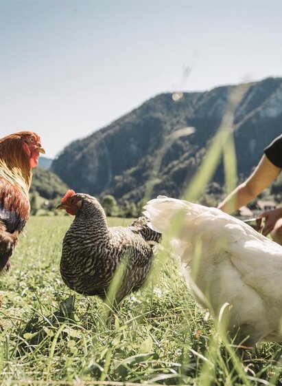 Claudia mit ihren Tieren | © Stefan Leitner | © Stefan Leitner
