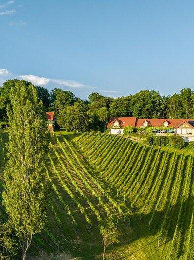 Rsoenbergl-042 | © Rosenbergl/Kirwasser | pixelmaker.at | © Rosenbergl/Kirwasser