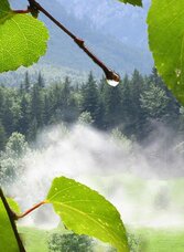 Symbolfoto, Dampfende Wiese | © TVB Ausseerland - Salzkammergut_Eva Griese | TVB Ausseerland - Salzkammergut_Eva Griese | © TVB Ausseerland - Salzkammergut_Eva Griese