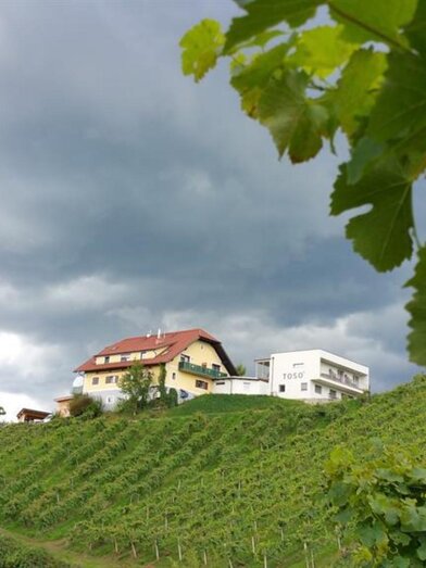 Weingut Toso | © Weingut Toso | e.krainer | e.krainer | © Weingut Toso | e.krainer