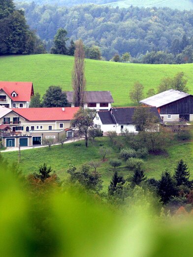 Weinbauernhof Adam Ewald Hofansicht | © Weinbauernhof Adam Ewald | Weinbauernhof Adam Ewald | © Weinbauernhof Adam Ewald