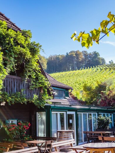 Schneiderannerl by Gregor Schiefer, Wein Werbeagen | © Wege zum Wein | Weeingut Schneiderannerl | © Wege zum Wein