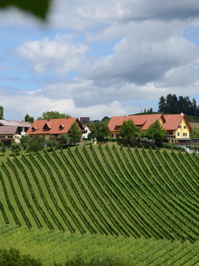 Weingut Fellner | © Weingut Fellner l Roswitha & Andreas Fellner | Roswitha & Andreas Fellner | © Weingut Fellner l Roswitha & Andreas Fellner