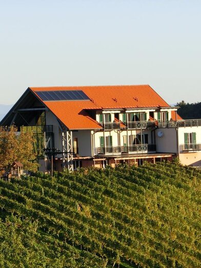 Weingut Zweytick Robert Hausansicht | © Weingut Zweytick Robert | Weingut Zweytick Robert | © Weingut Zweytick Robert