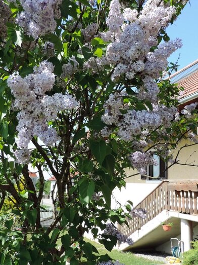 Weingut Gruber | © Weingut Gruber | Fam. Gruber | Fam. Gruber | © Weingut Gruber | Fam. Gruber