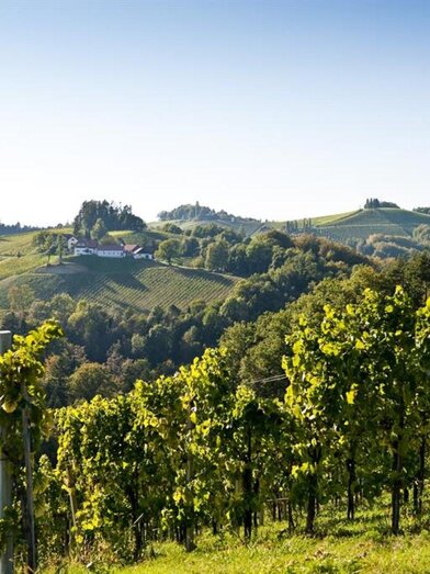 Blick auf das Weingut | © Weingut Hack-Gebell | © Weingut Hack-Gebell