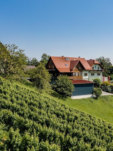 Weingut Juritsch | © Weingut Juritsch | Franz Juritsch | Franz Juritsch | © Weingut Juritsch | Franz Juritsch