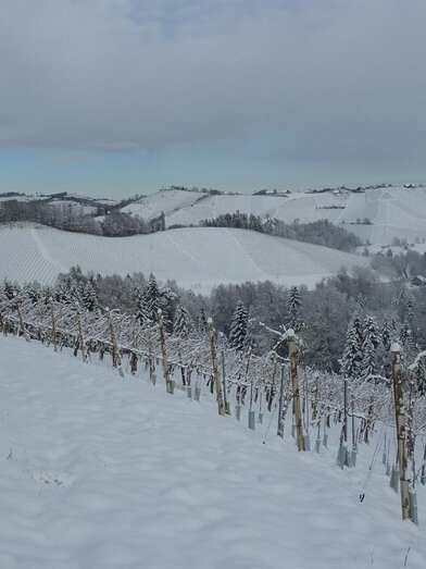 Marko der Weinstricker WeinWinter | © Marko der Weinstricker | Fam. Marko |  Fam. Marko | © Marko der Weinstricker | Fam. Marko