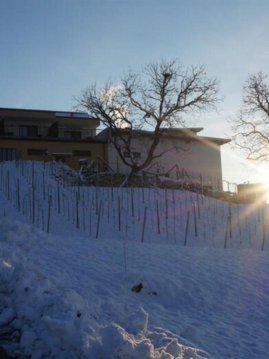 Weingut Perner Hofansicht | © Weingut Perner | Harry Schiffer | Harry Schiffer | © Weingut Perner | Harry Schiffer